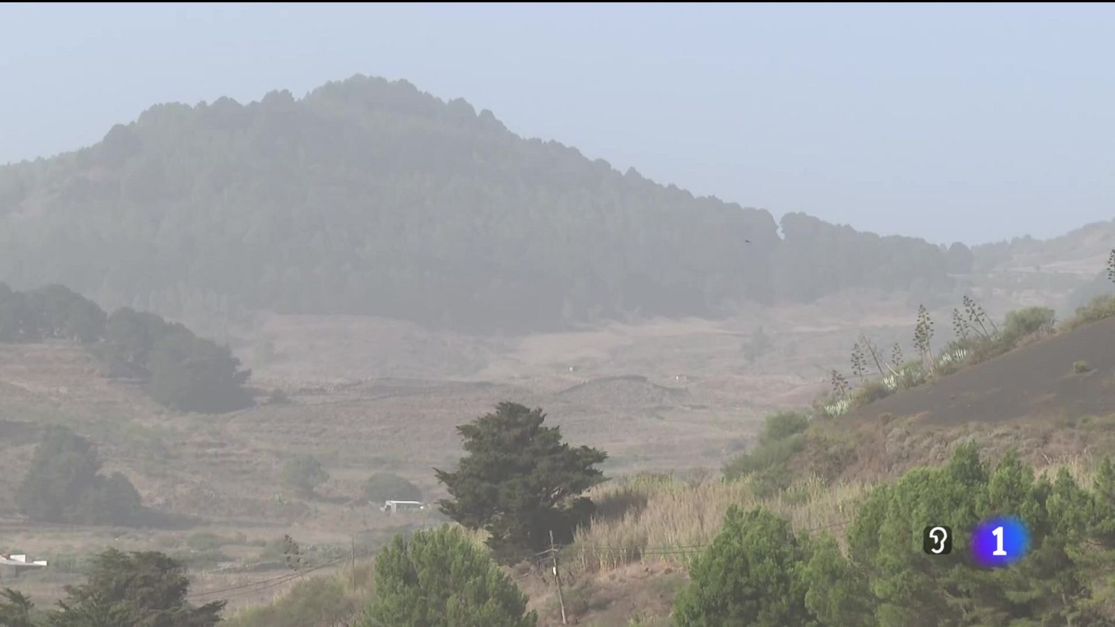 Telecanarias - 16/09/2025 | Ver