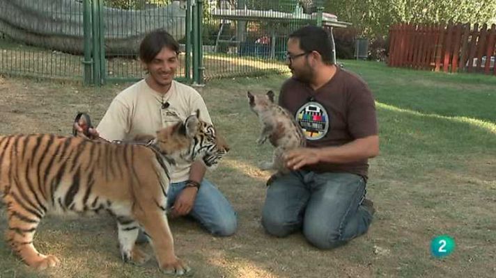 La aventura del Saber - La aventura del saber - 23/01/13