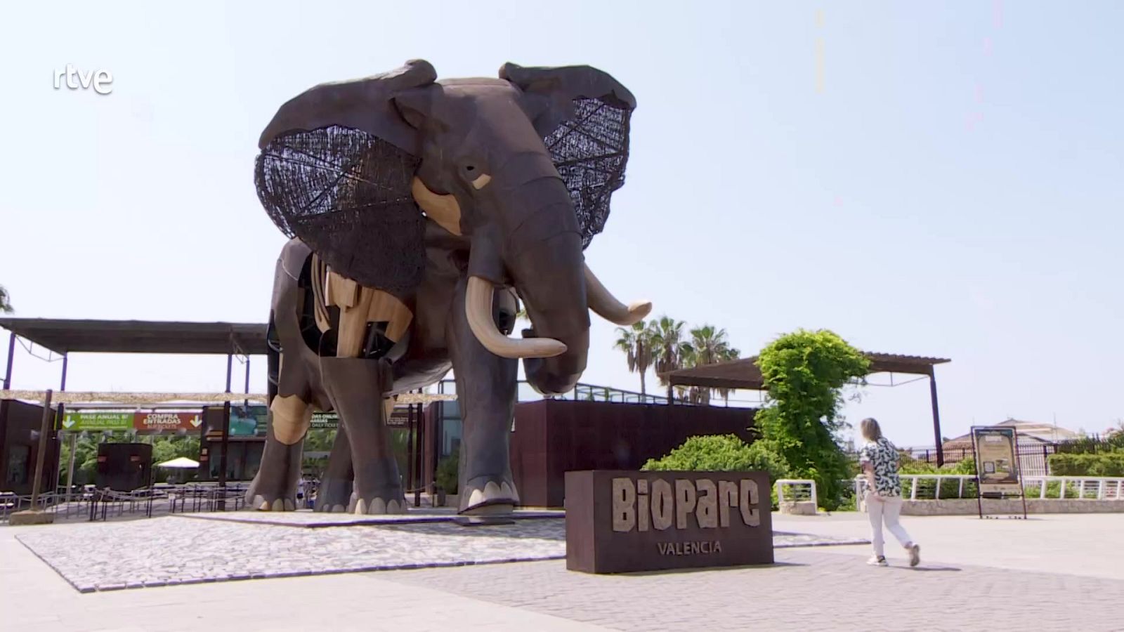 Trabajar entre bichos: los empleados del Bioparc de Valencia - Aquí hay trabajo | Ver