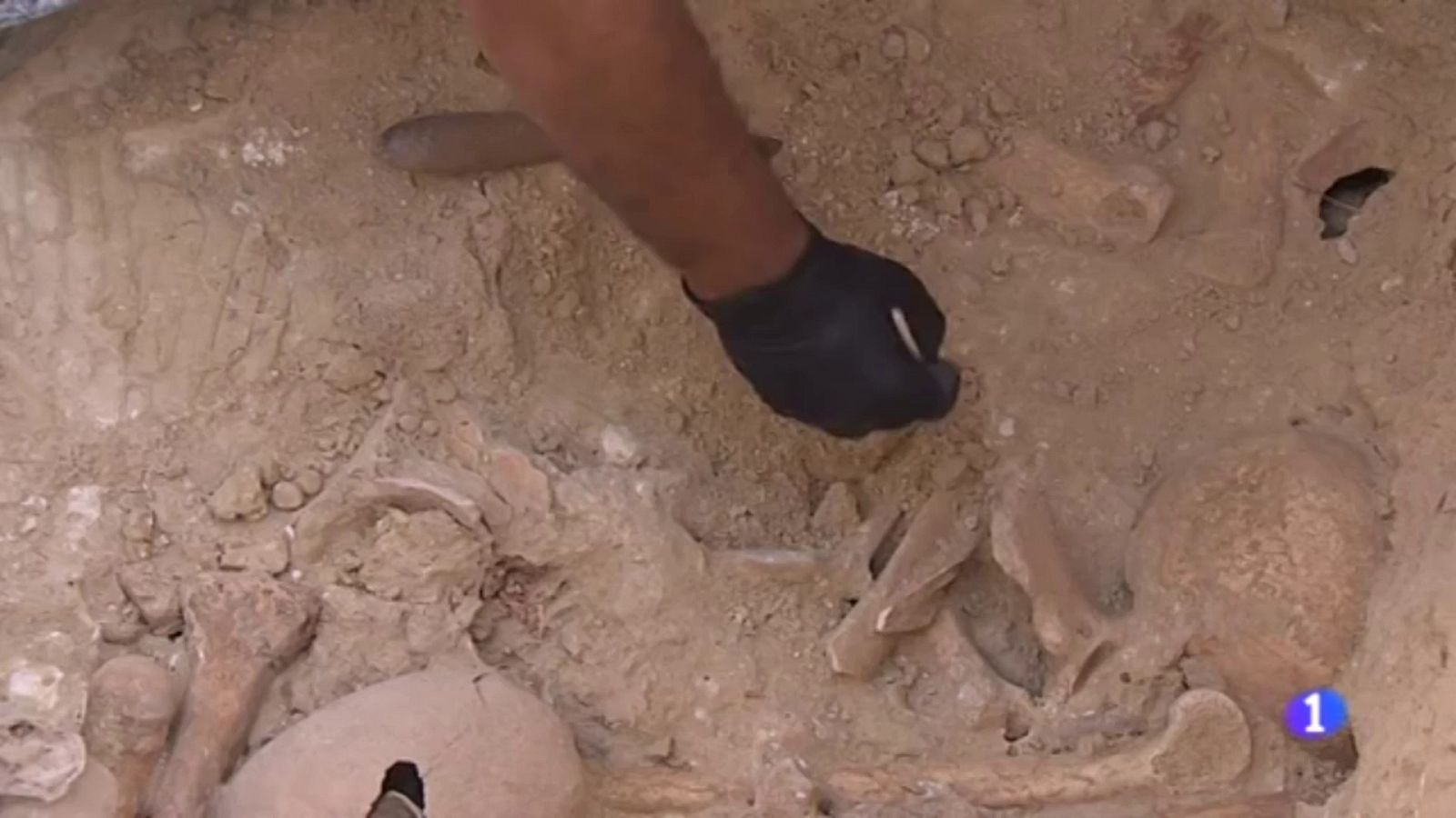 Exhumación de la fosa de Salteras (Sevilla) | Ver ahora