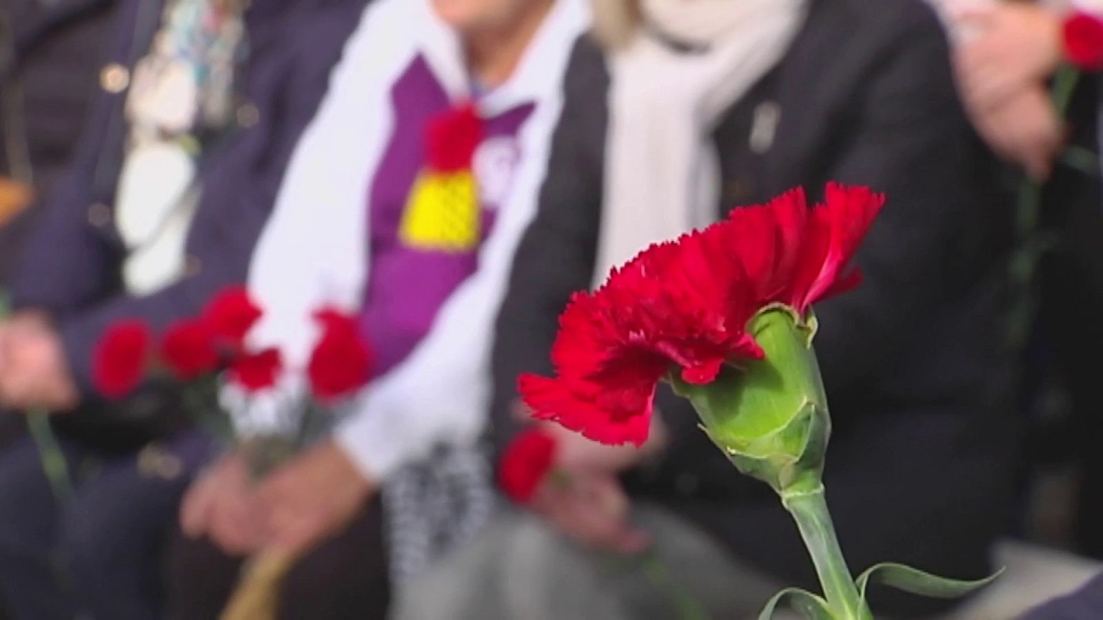 Homenaje en el cementerio de Nuestra Señora de la Salud (Córdoba) | Ver ahora
