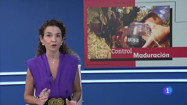 Informativo Telerioja - Informativo Telerioja 17-09-2025