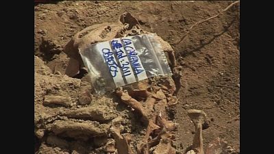 Trabajos de exhumaci�n en el parque de la Carcavilla (Palencia) | Ver ahora