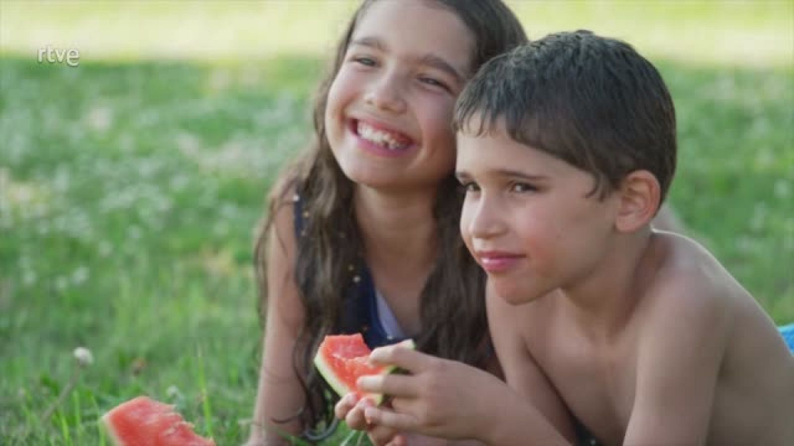 Da Internacional de la Paz