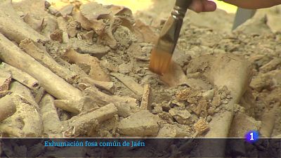Trabajos de exhumaci�n en la fosa 548 de San Eufrasio (Ja�n) | Ver ahora