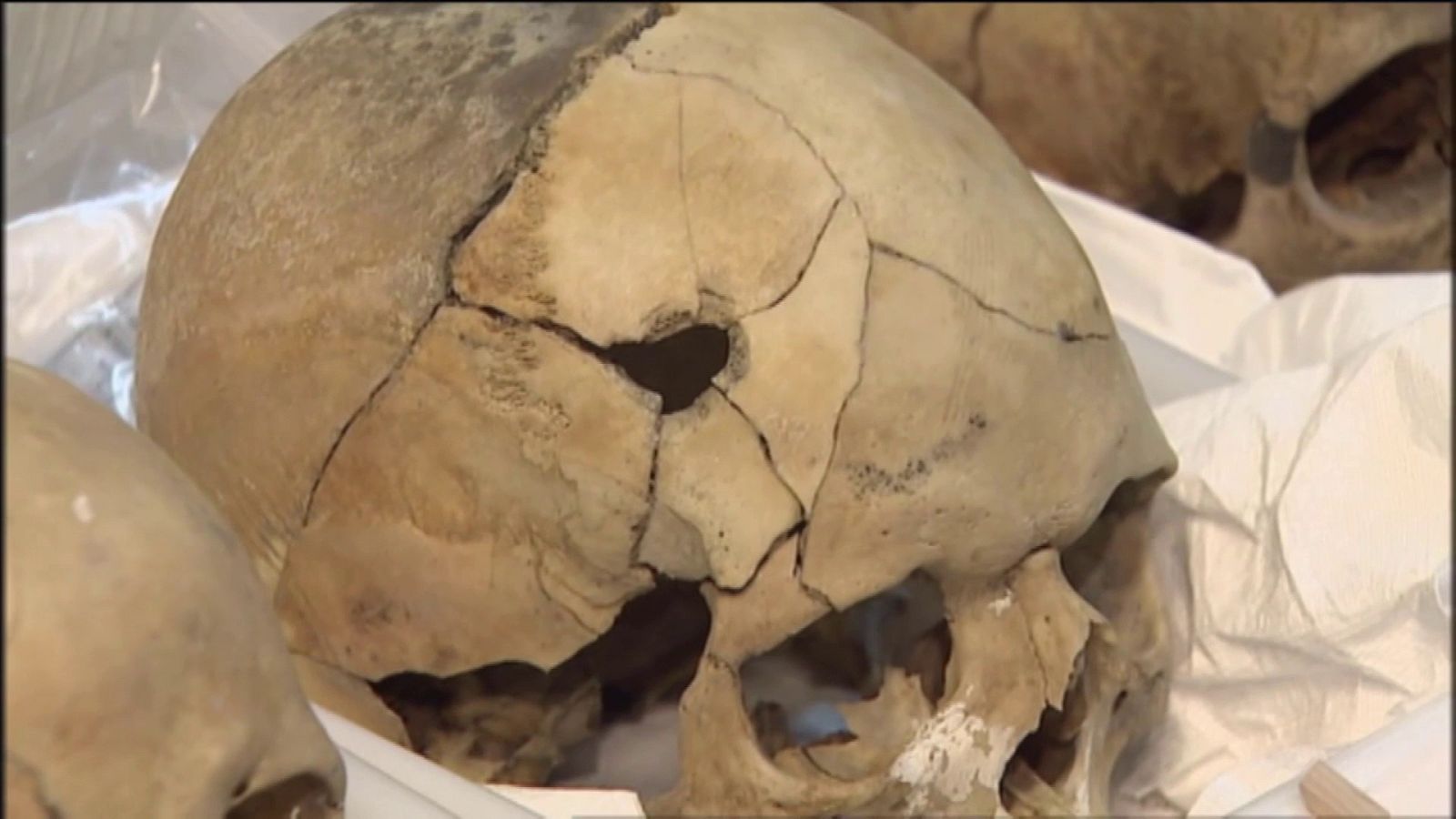 Identificación de restos en Pozo de Tenoya (Arucas, Las Palmas) | Ver ahora