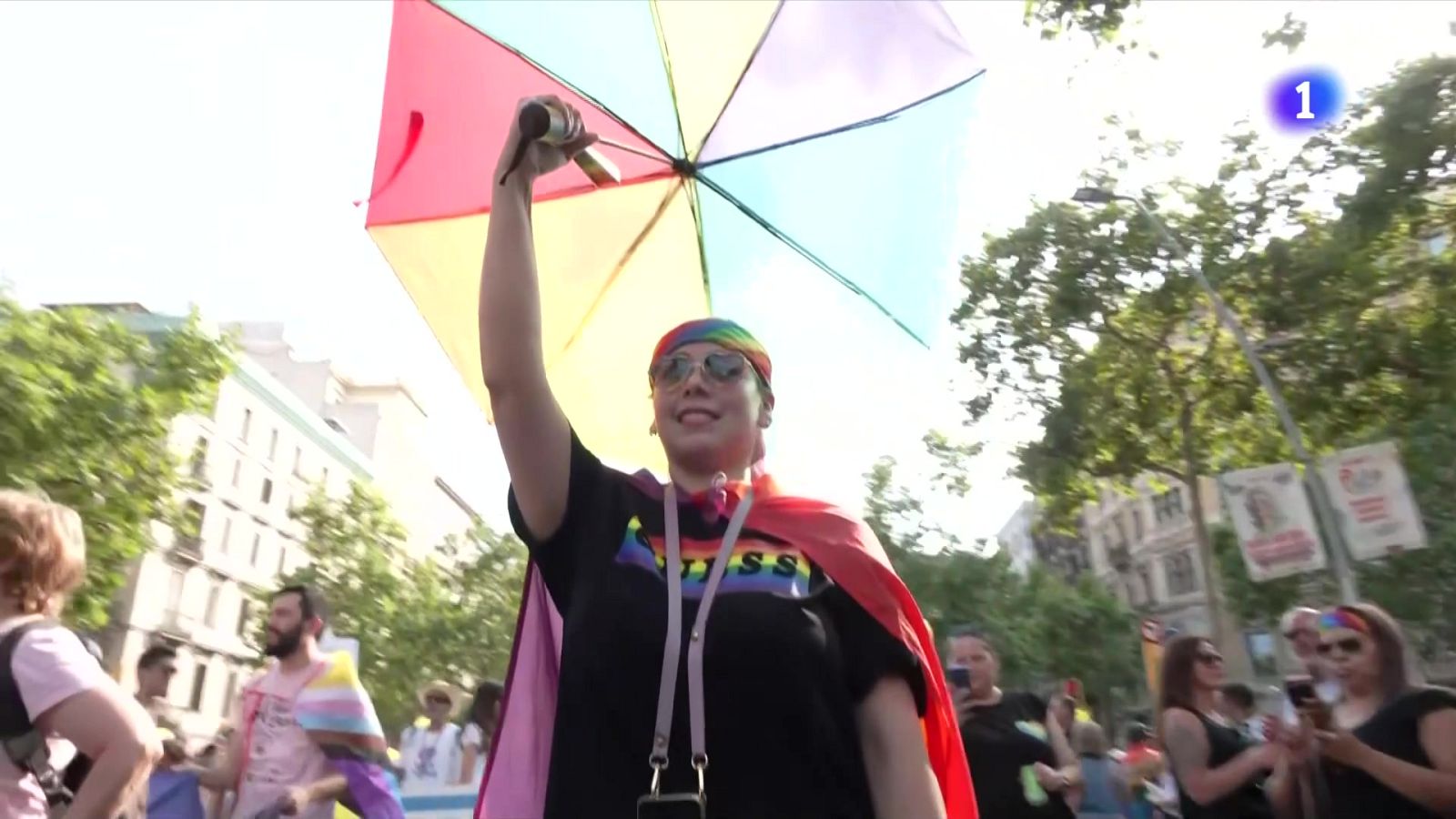 L'Observatori contra la LGTBI-fòbia alerta de l'auge dels discursos d'odi