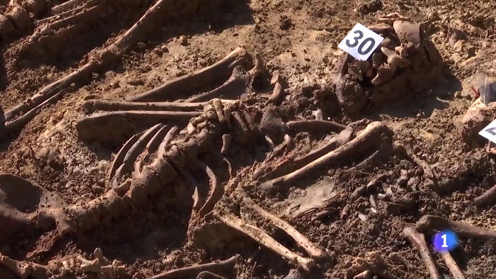 Localizada la mayor fosa común de la guerra civil en Euskadi (Bizkaia) | Ver ahora