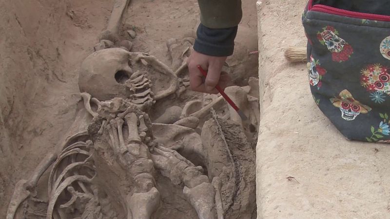Excavación en la fosa del Mas de Santa Magdalena (Móra d'Ebre, Tarragona) | Ver ahora