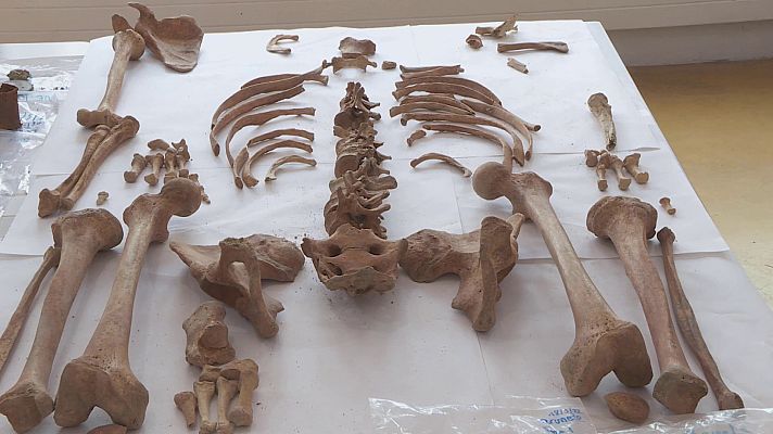 Modo Digital - Restos exhumados en la fosa del paraje de La Morolla, en Brunete (Madrid)