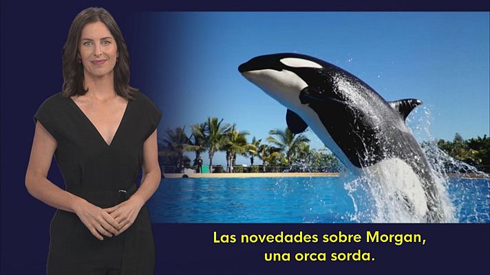 En lengua de signos - En lengua de signos - 20/09/25