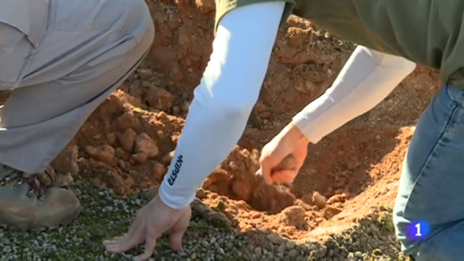 Excavación de la fosa del cementerio de Llucmajor (Mallorca) | Ver ahora