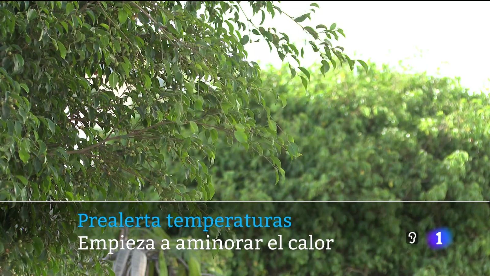 Canarias en 2' - 21/09/2025 | Ver