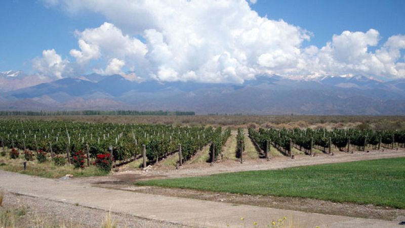 Espa�oles en el mundo - Mendoza - Ver ahora