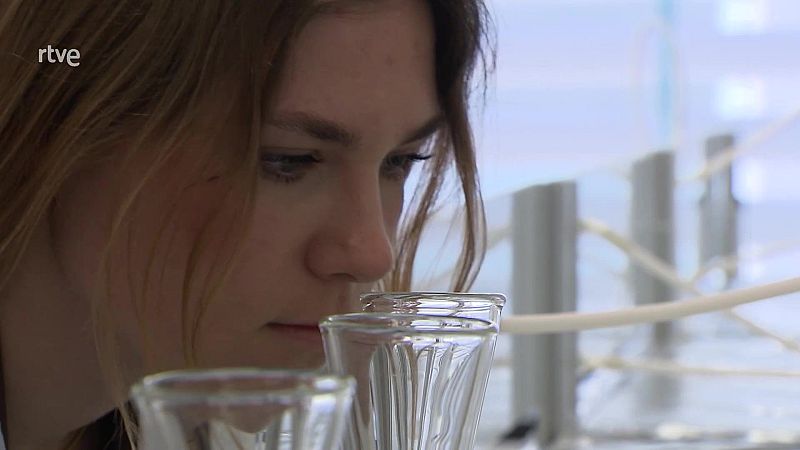 Un trabajo “de narices” - Aquí hay trabajo | Ver