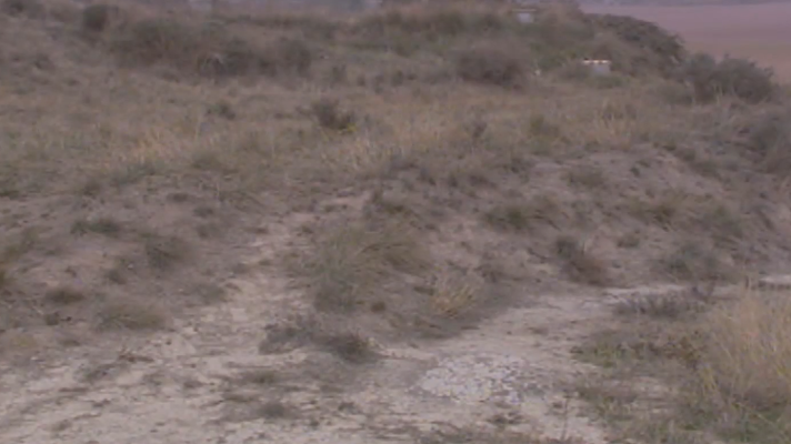 L'Informatiu - Resultados de la fosa de Puigvistós (Barcelona), la primera en Cataluña