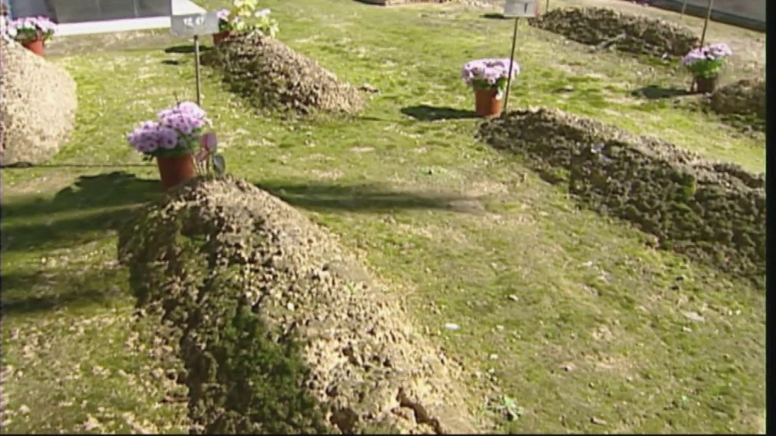 Imágenes de la fosa 113 del cementerio de Paterna (Valencia) | Ver ahora