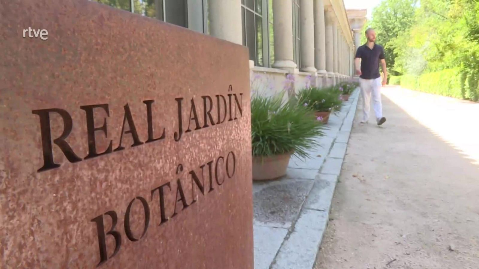 El Real Jardín Botánico de Madrid: mucho más que un jardín - Aquí hay trabajo | Ver