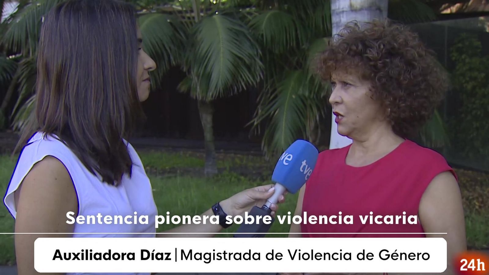 Sentencia novedosa por matar al perro de su expareja: "Us a la mascota para hacer dao"