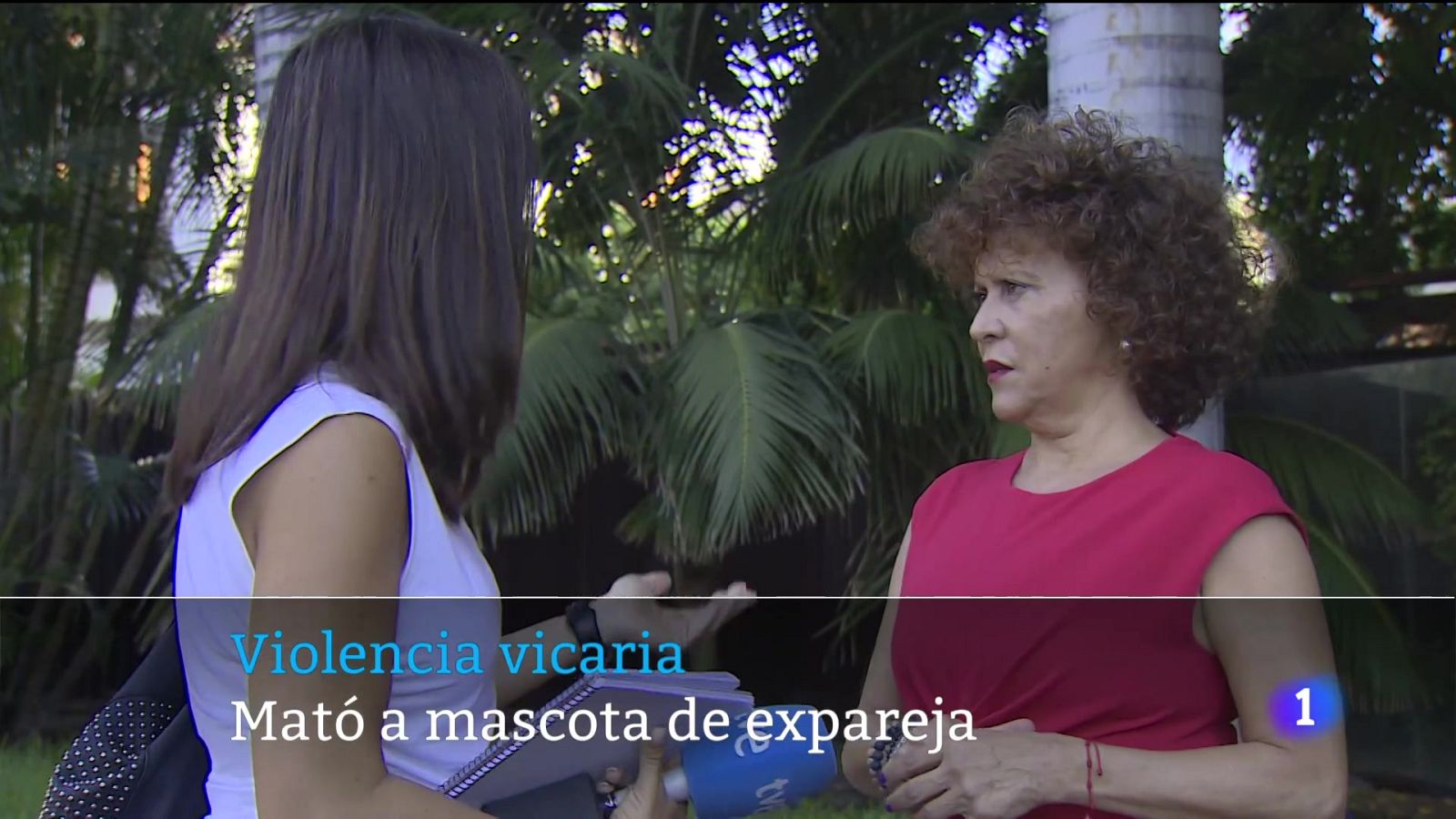 Telecanarias - 24/09/2025