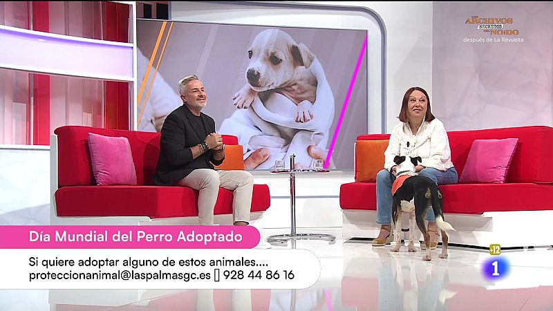 Cerca de ti - 24/09/2025