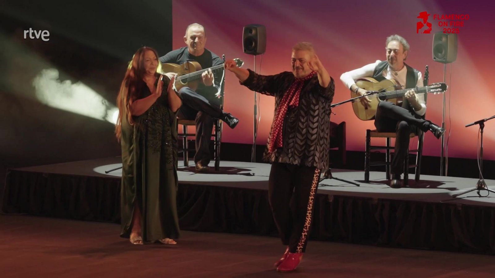 Festivales de verano - 11º Festival Flamenco on Fire: Programa resumen - Festivales de verano de La 2 | Ver