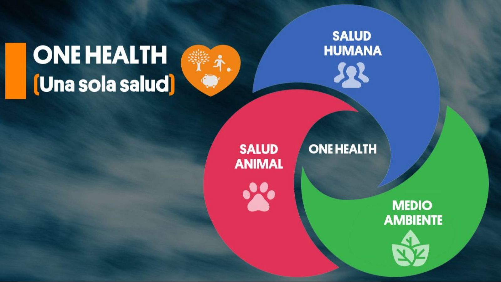 Ricardo Moure.  ‘One Health’ | Ver