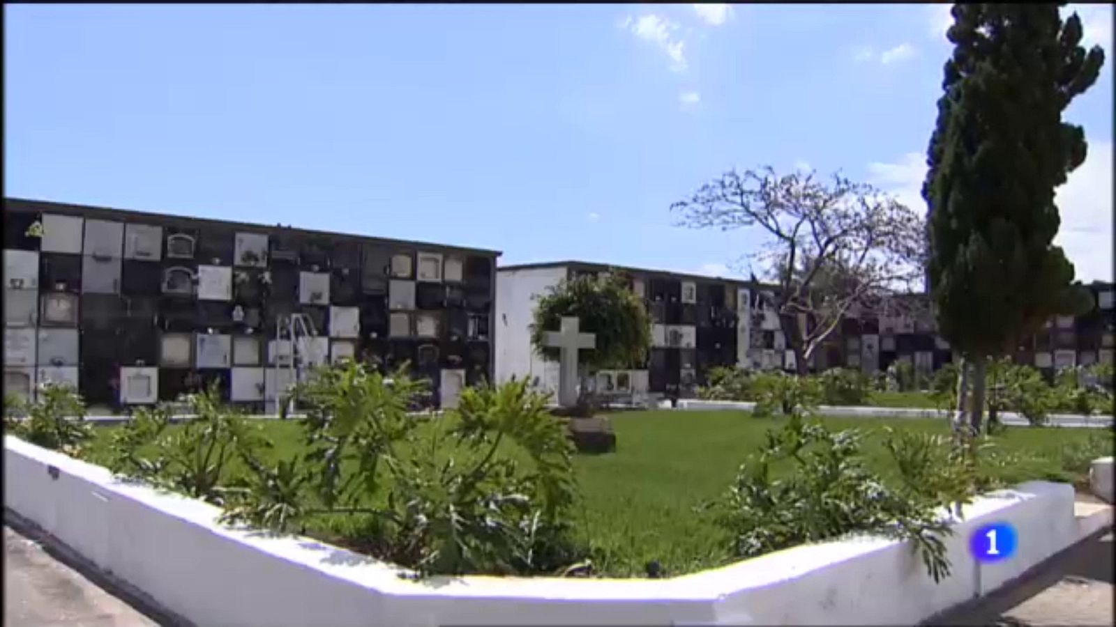 Expertos estudian la fosa del cementerio de La Vegueta de Las Palmas (Canarias) | Ver ahora