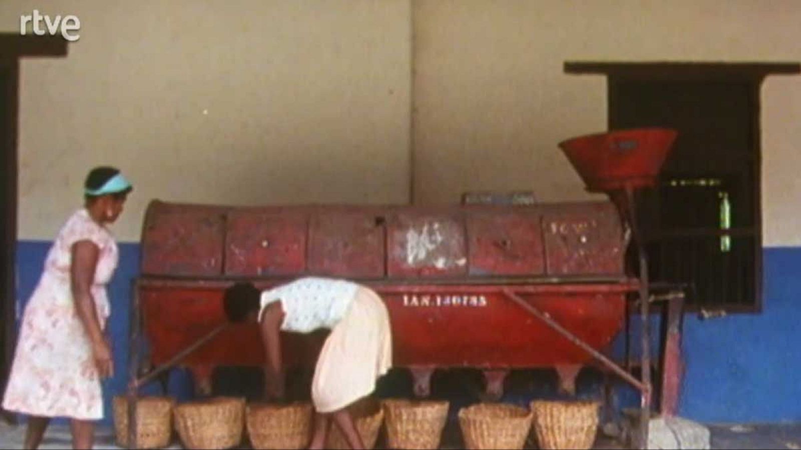 Los frutos de El Dorado - El cacao - Los frutos de El Dorado | Ver