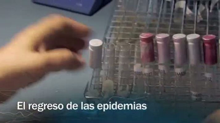 Redes - Redes - El regreso de las epidemias - avance