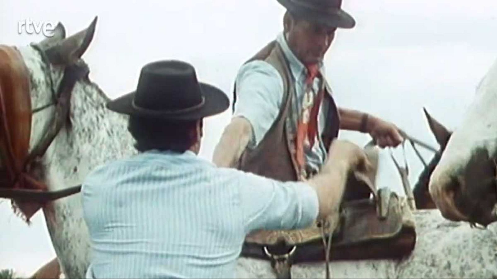 Los frutos de El Dorado - La ganadería - Los frutos de El Dorado | Ver