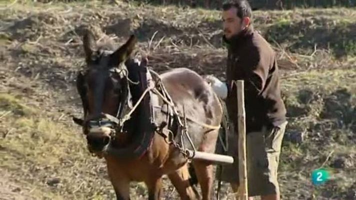 Para todos La 2 - Agricultura biodinámica