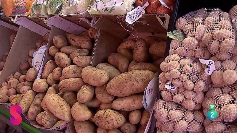 Somos 8 - 25/09/2025 - Somos 8 | Ver