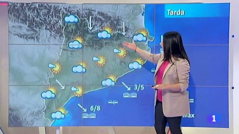 El temps - 24/01/2013