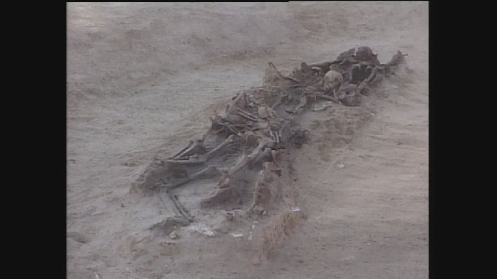 Exhumación en Nuestra Señora de Basardilla en Olmedillo de Roa (Burgos) | Ver ahora
