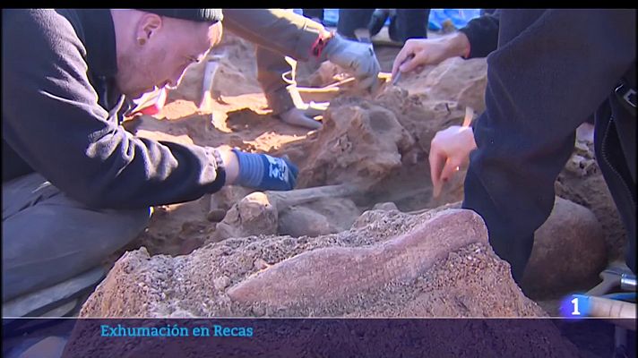 Noticias de Castilla-La Mancha - Exhumación de una fosa en el paraje Los Tintos (Recas, Toledo)