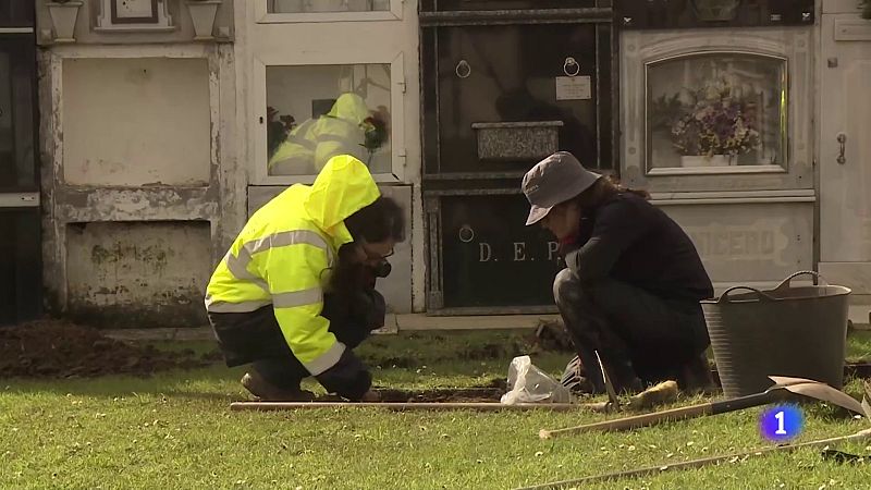 Exhumación de fosa en el cementerio de Santa María a Maior do Val en Narón (A Coruña) | Ver ahora