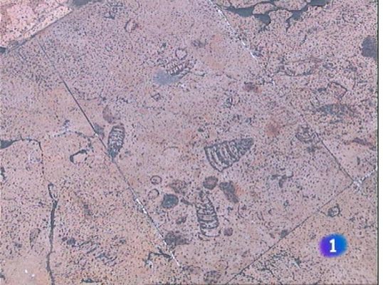 Panorama Regional - Panorama Regional 2 - 24/01/13