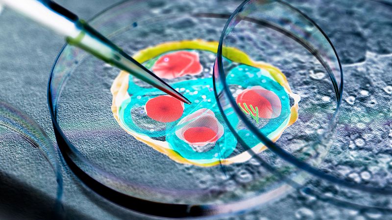 MultiplexAI, un proyecto para detectar la malaria con un móvil - La tarde en 24h | Ver