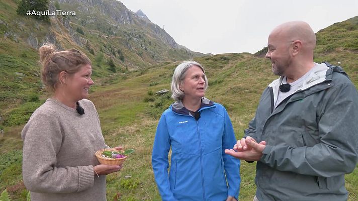 Aquí la Tierra - Aquí la Tierra - 26/09/25
