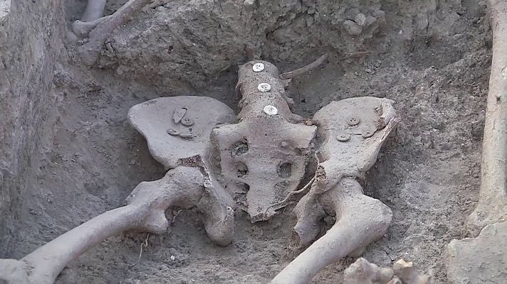 Modo Digital - Exhumación de la fosa de los maestros en Cobertelada (Almazán, Soria)