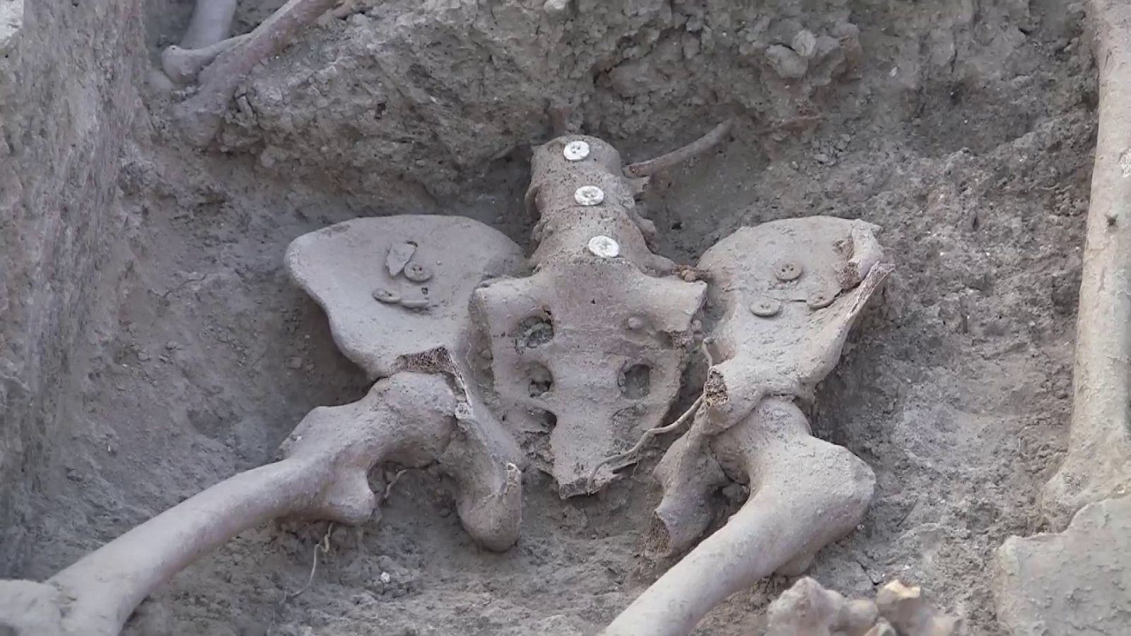 Exhumación de la fosa de los maestros en Cobertelada (Almazán, Soria) Exhumación de la fosa de los maestros en Cobertelada (Almazán, Soria) | Ver ahora