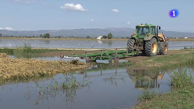 L'Informatiu - 30/09/2025