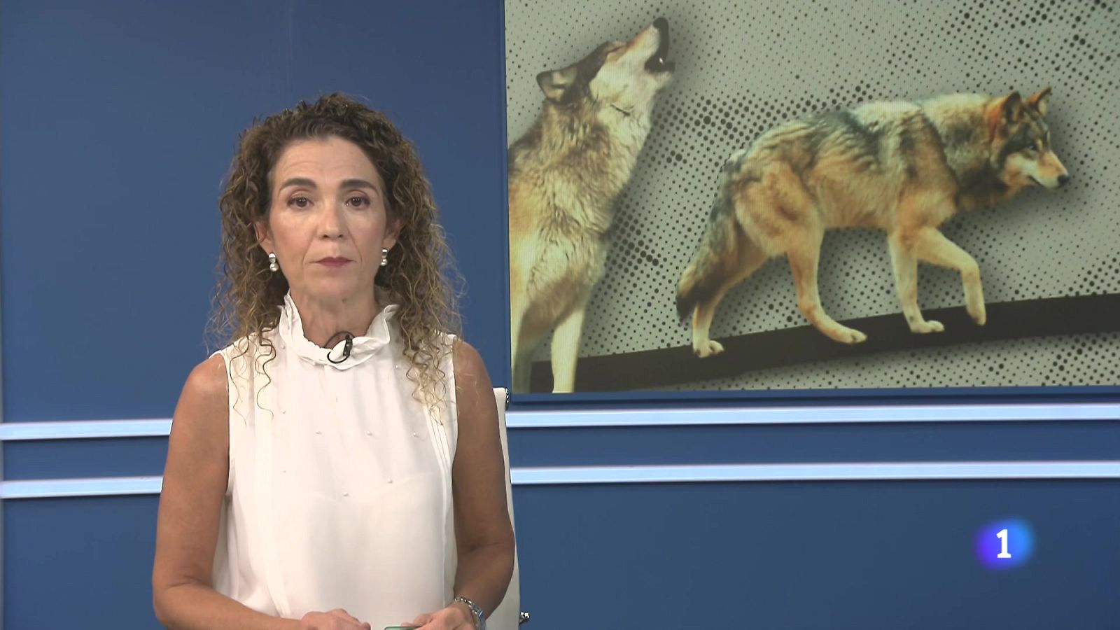 Informativo Telerioja 01-10-2025 - Informativo Telerioja | Ver