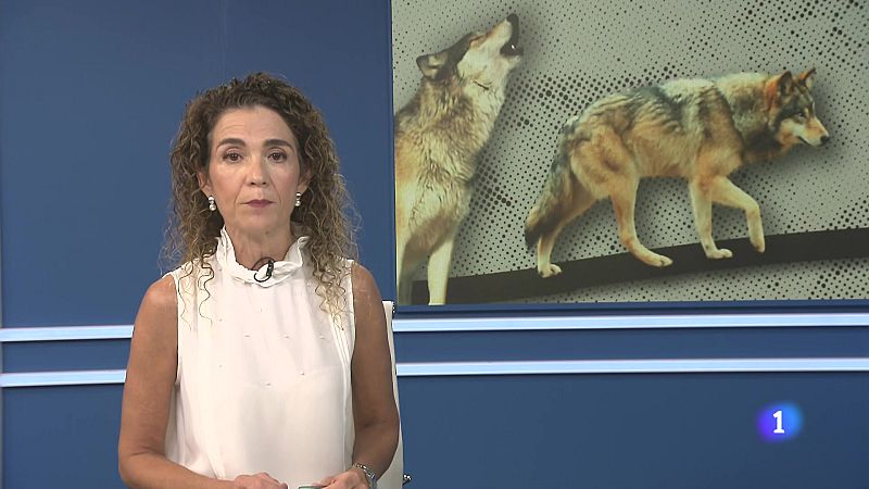 Informativo Telerioja 01-10-2025 - Informativo Telerioja | Ver