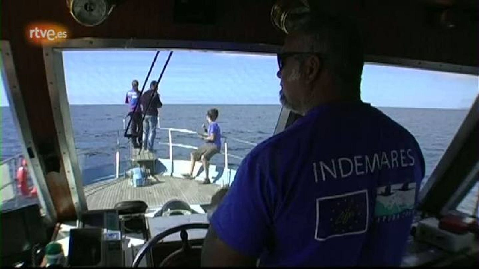 El escarabajo verde - El último viaje del Oso Ondo - avance