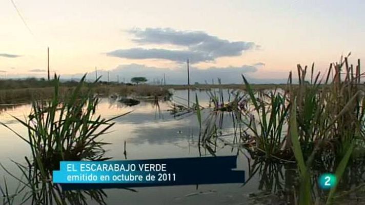 Para todos La 2 - Especies invasoras