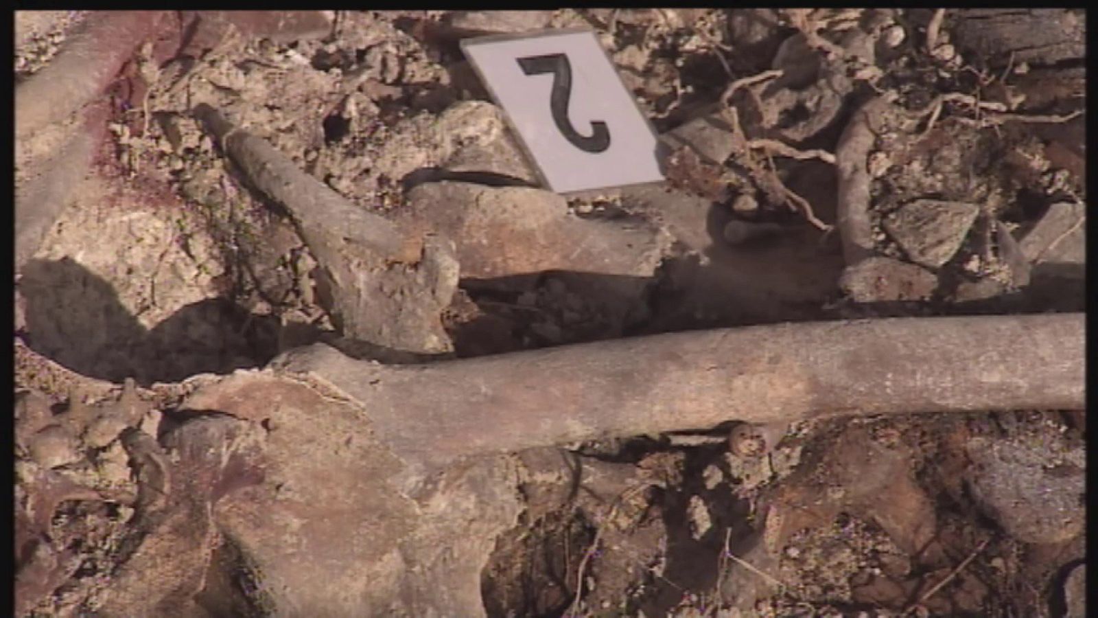 Comienzan los análisis de ADN de los restos hallados en Porreres (Mallorca) | Ver ahora