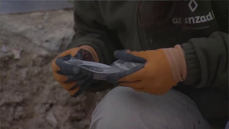 Hallan 20 cuerpos en la segunda exhumación de la fosa de Porreres (Mallorca) | Ver ahora