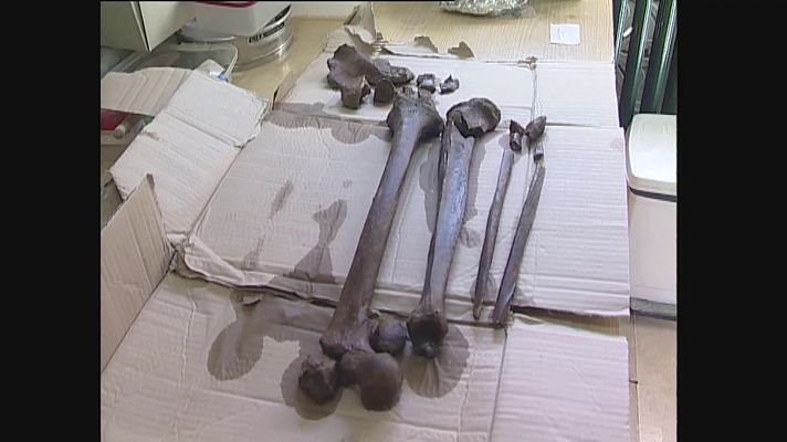 Modo Digital - Trabajos en la fosa del paraje Matazal en Zaldibia (Gipuzkoa)